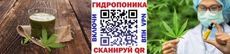 Canna-Cookies марихуана  Закаменск 