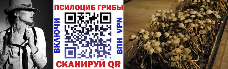 дарнет шоп Закаменск Галлюциногенные грибы MAGIC MUSHROOMS